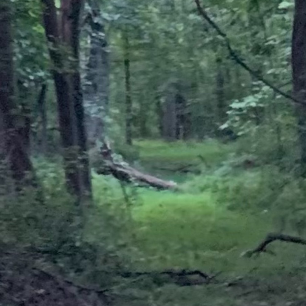 Hello!! Thanks for visiting.